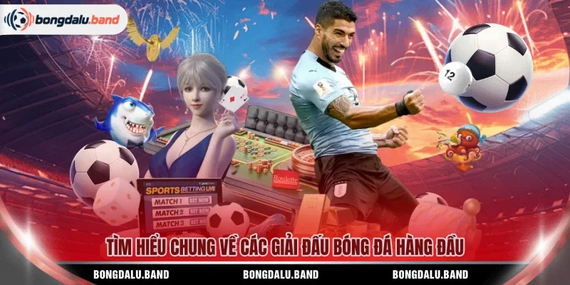Tìm hiểu chung về các giải đấu bóng đá hàng đầu